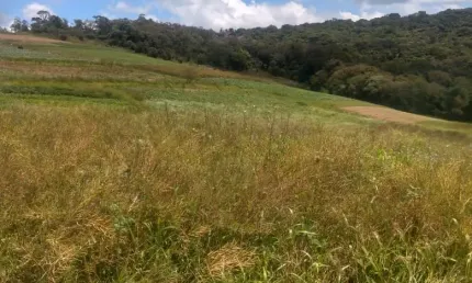 Terreno à venda na Estrada Municipal da Cachoeira, 136, Cachoeira, Cotia