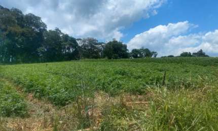 Terreno à venda na Estrada Municipal da Cachoeira, 345, Cachoeira, Cotia