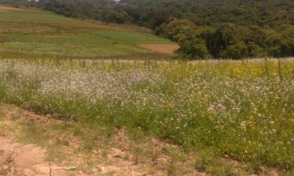 Terreno à venda na Estrada Municipal da Cachoeira, 473, Cachoeira, Cotia