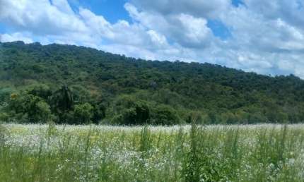 Terreno à venda na Estrada Municipal da Cachoeira, 847, Cachoeira, Cotia