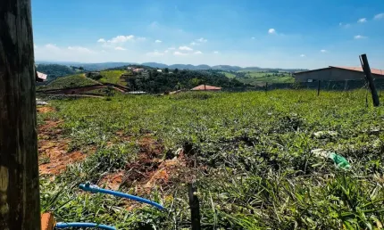 Lançamento de igarata com entrada facilitada para veículos