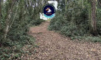 Terreno à venda na Estrada Municipal da Cachoeira, 0134, Cachoeira, Cotia