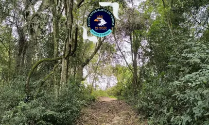 Terreno à venda na Estrada Municipal da Cachoeira, 7422, Cachoeira, Cotia