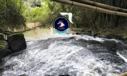Terreno à venda na Estrada Municipal da Cachoeira, 9583, Cachoeira, Cotia