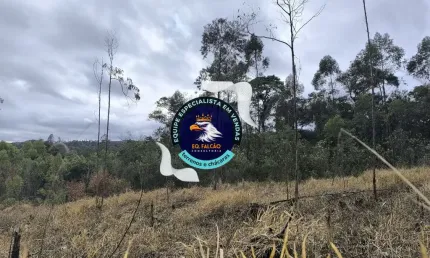 Terreno à venda na Estrada Municipal da Cachoeira, 3788, Cachoeira, Cotia