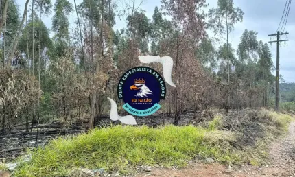 Terreno à venda na Estrada Municipal da Cachoeira, 3788, Cachoeira, Cotia