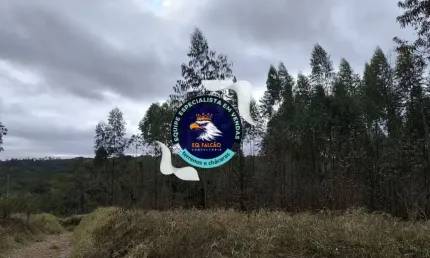 Lançamento de cotia, viva o mr~hor de cotia não percam