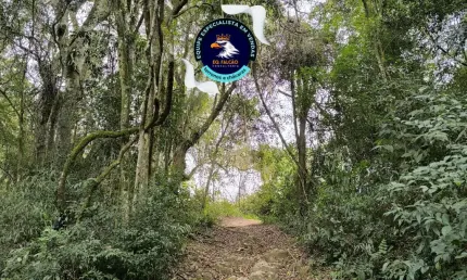 Lançamento de cotia não percam, viva o melhor de cotia