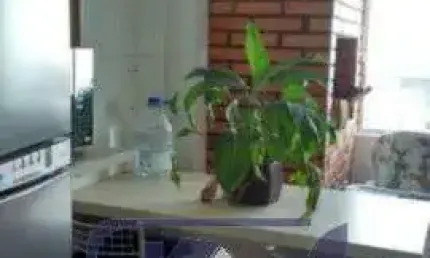 Apartamento para Venda - 66.88m², 3 dormitórios, 1 vaga - Cavalhada, Porto Alegre
