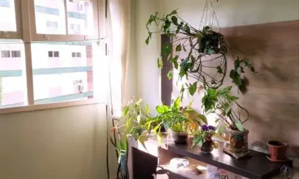 Apartamento de 2 dormitórios com vaga no bairro Petrópolis