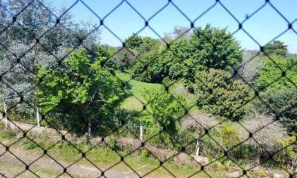 Apartamento com 2 quartos à venda na Avenida Romeu Samarani Ferreira, --, Vila Nova, Porto Alegre