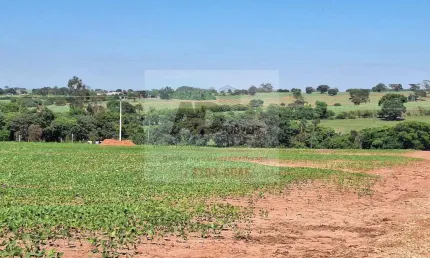 Chácara / sítio à venda na Zona Rural, Potirendaba 
