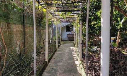 Casa com 1 quarto à venda na Rua João Neves Correia, 532, Roçado, São José