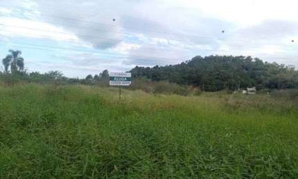 Terreno comercial para alugar na Rua das Cerejeiras, s/nº, Pedra Branca, Palhoça