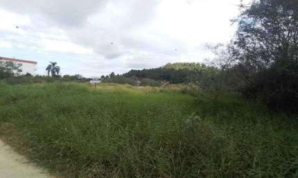 Terreno comercial para alugar na Rua das Cerejeiras, s/nº, Pedra Branca, Palhoça
