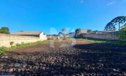 Terreno à venda no bairro Dom Rodrigo - São José dos Pinhais/PR