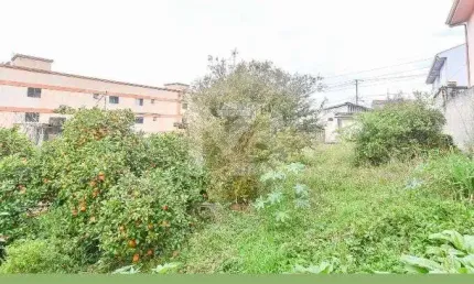 Terreno à venda na Avenida da Integração, Bairro Alto, Curitiba