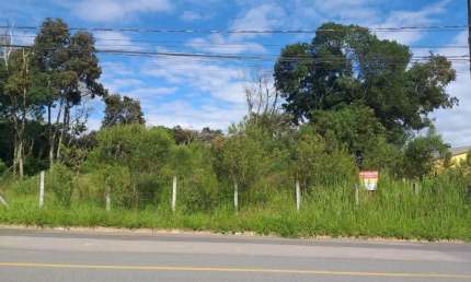 Terreno comercial à venda na Rua Hermenegildo Pauletto, Arujá, São José dos Pinhais