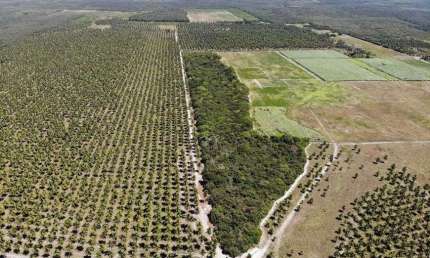 fazenda 800 hectares perfeitas para enegia solar e eóloicas.