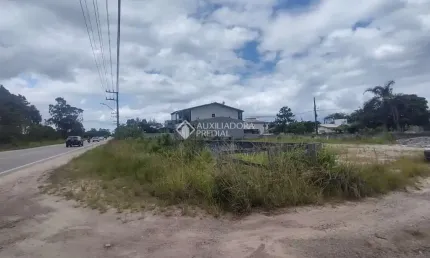 Terreno à venda na rodovia evádio paulo broering, 2367, pinheira, palhoça, 424 m2 por r$ 420.000