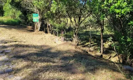 Terreno à venda na rua aderbal ramos da silva, 01, pinheira, palhoça, 366 m2 por r$ 450.000