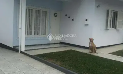 Casa com 5 quartos à venda na Rua Manoel Loureiro, 996, Barreiros, São José, 260 m2 por R$ 890.000