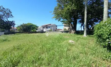 Terreno à venda na Rua Joaquim Nabuco, 1622, Capoeiras, Florianópolis, 971 m2 por R$ 1.620.000