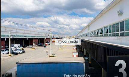 Galpão para alugar, 3369 m² - Jardim Santa Vicência - Guarulhos/SP