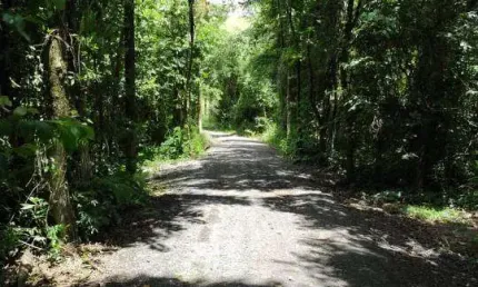 Venda - Chácara - Parque São Jerônimo - Americana - SP