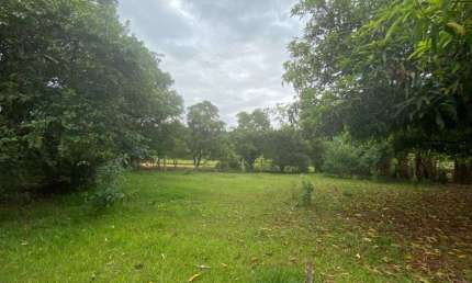 Venda - Chácara - Chácaras de Recreio Represa  - Nova Odessa - SP