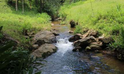 Excelente oportunidade para quem busca tranquilidade e contato com a natureza!