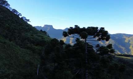 Terreno à venda na Zona Rural, São Bento do Sapucaí 