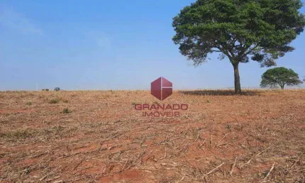Terreno à venda, 20000 m² por R$ 900.000,00 - Distrito de Iguatemi (Iguatemi) - Maringá/PR