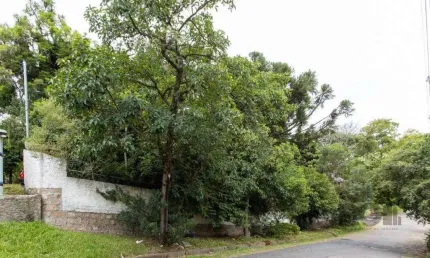 Terreno, 363.78 m², em vila conceição, em região elevada e livre de inundações