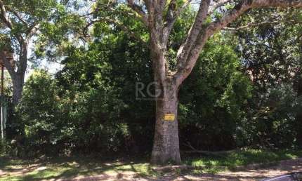 Terreno para Venda - 0m², 0 dormitórios, Teresópolis