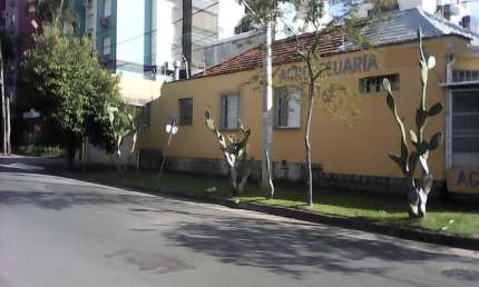 Casa para Venda - 300m², 3 dormitórios, 2 vagas - Partenon