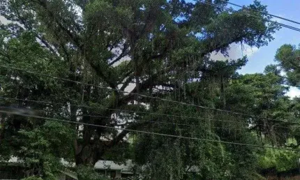 Casa 6 dormitórios à venda Vila Assunção Porto Alegre/RS