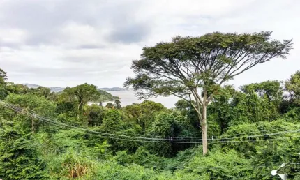 Terreno à venda na Rua Professor Xavier Simões, 500, Sétimo Céu, Porto Alegre
