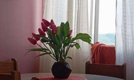 Apartamento 2 dormitórios à venda Restinga Porto Alegre/RS