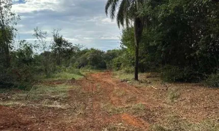 Fazenda à venda no Panorama Industrial, Igarapé 