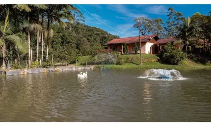 SÍTIO NA VILA ITOUPAVA - BLUMENAU - aceita permuta e parcelamento em até 100x direto com o proprietário.