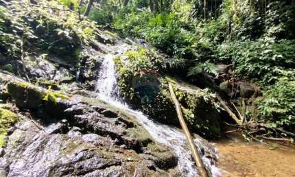 Chácara / sítio com 3 quartos à venda no Santa Maria, Benedito Novo 