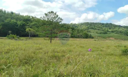 Chácara / sítio à venda na Margem Esquerda, Apiúna 