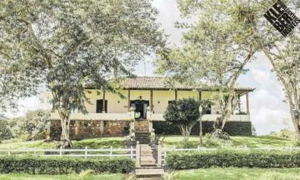 Vendo Fazenda de Cacau e Turismo Rural com 245 hectares em Ilhéus