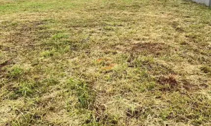 Um lote já Escriturado e Quitado Setlaife ll . Mirassol .