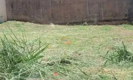 Terreno à venda na Rua Izabel Rodrigues Carretero, Jardim Viena, São José do Rio Preto por R$ 200.000