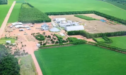 Fazenda à venda na Mutum, Centro, Nova Mutum