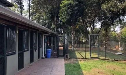 Casa à venda na Rua José Guardino, Parque Primavera, Carapicuíba