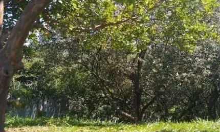 Terreno à venda na Rua Aimorés, 208, Tarumã, Santana de Parnaíba