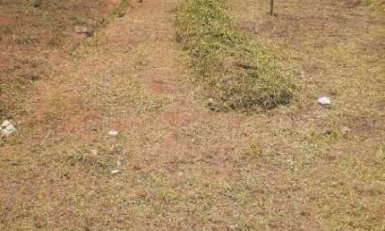Terreno à venda Jardim Aranha Oliveira em Santa Bárbara D'Oeste